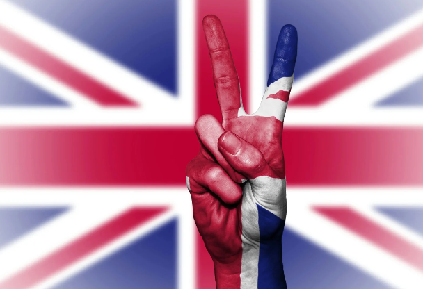 CourseFinder Dashboard